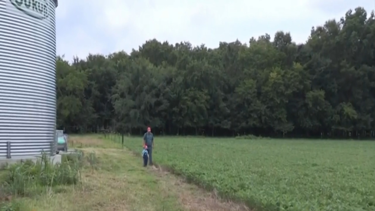 Young farmers are feeling the pressure from increasing farmland values - Vimarsana News