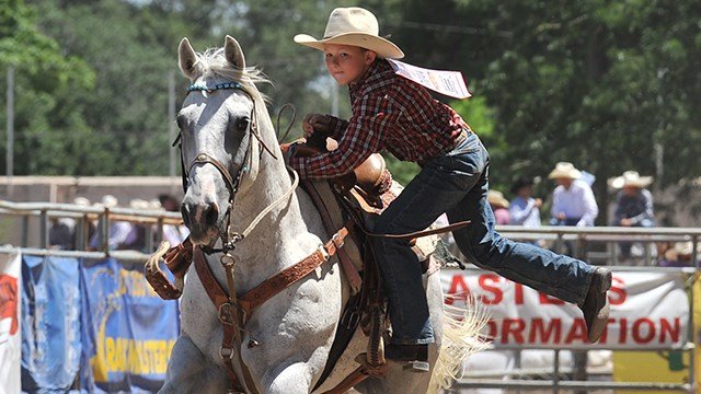 Little Britches Rodeo - Vimarsana News