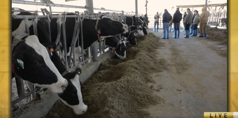 HolsteinUSA establishes easy-to-access tech lab to drive dairy innovation - Vimarsana News
